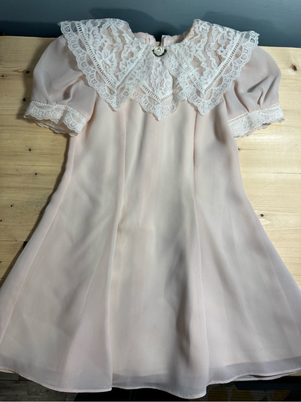 JESSICA MCCLINTOCK Delicate Blush Lace Collar Dress